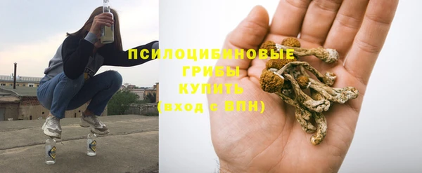 ешки Липки