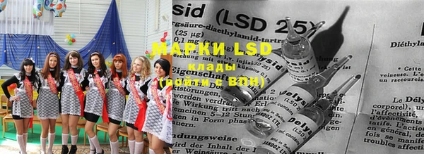 шишки Лабытнанги