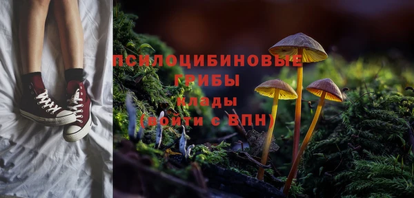 ешки Липки