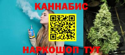 apvp Канаш