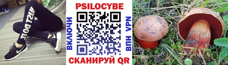 darknet официальный сайт  Учалы  Галлюциногенные грибы мухоморы  хочу наркоту 