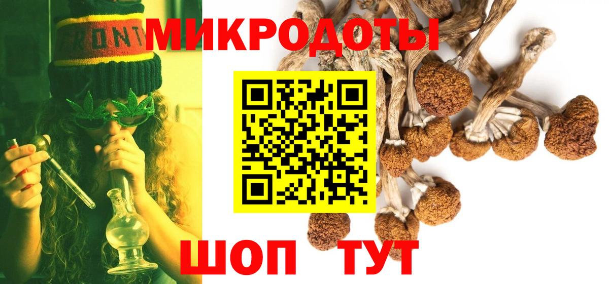 Псилоцибиновые грибы Psilocybe Учалы